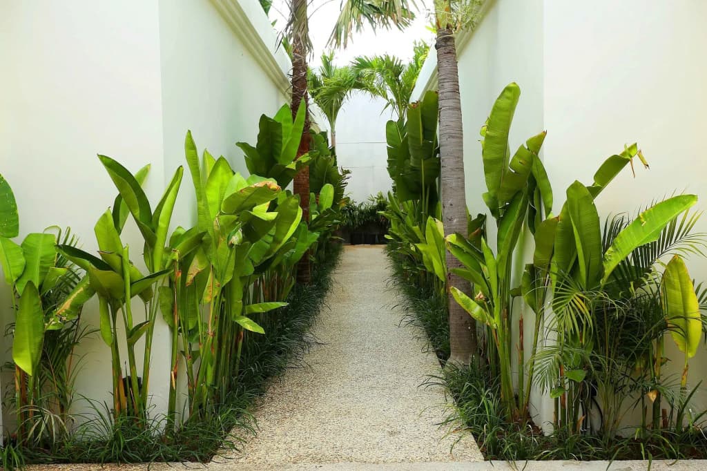 Villa Canggu - photo 22