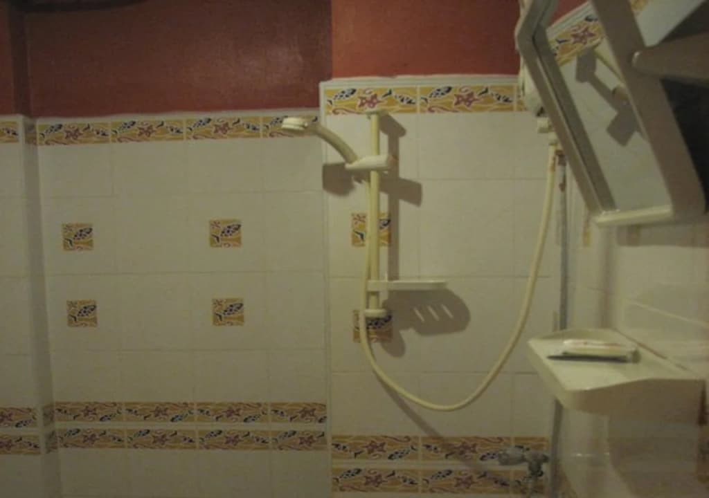 SB Mansion - photo 6