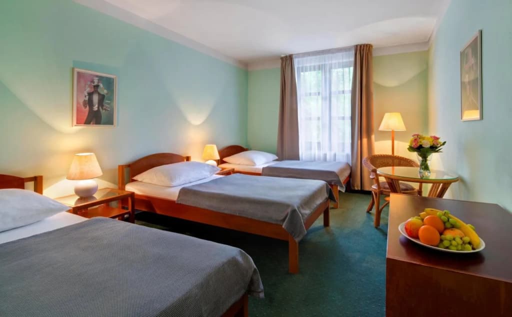 Na Zamecku Hotel - photo 6