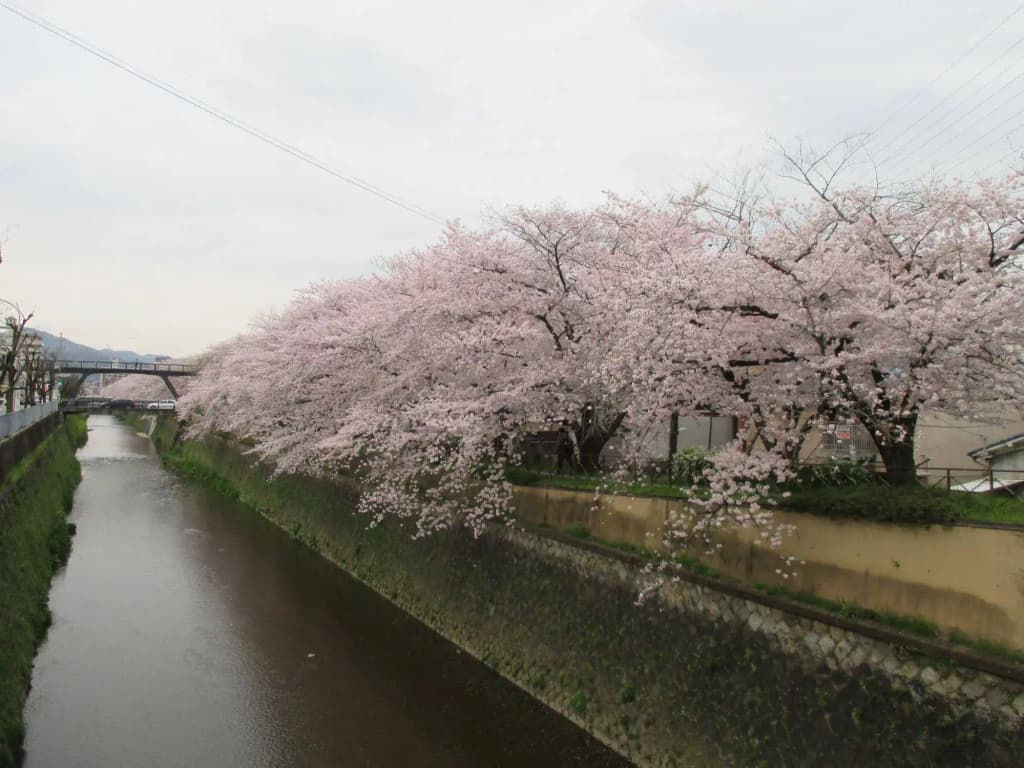 Estate Tokyu Nishikyogoku - photo 22