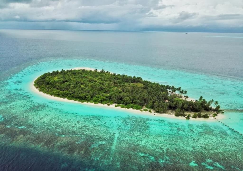 Small Island Lodge - photo 5