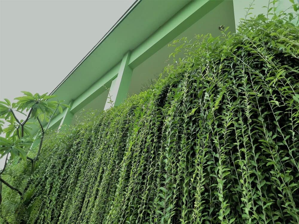 Purnama House - photo 11