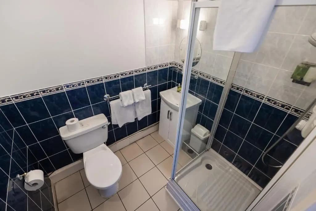 Rosehall Hotel - photo 7