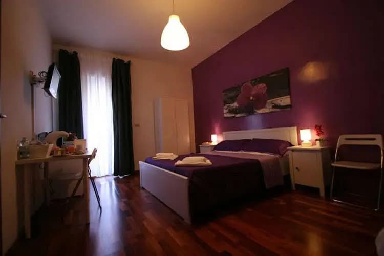 Guest House San Peter - photo 5