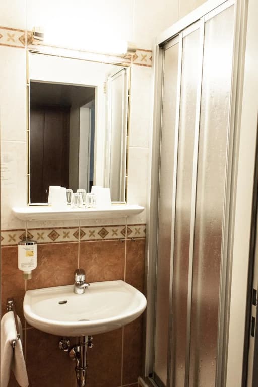 SHS-Hotel Fürstenhof - photo 11