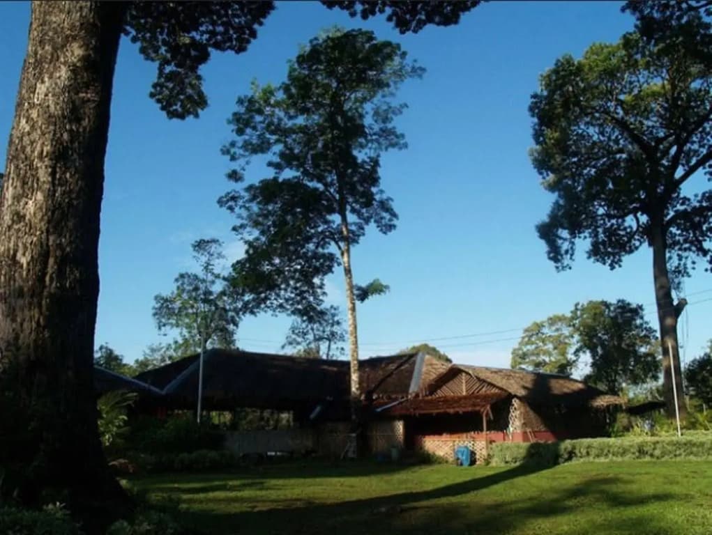 Borneo Proboscis River Lodge - photo 9