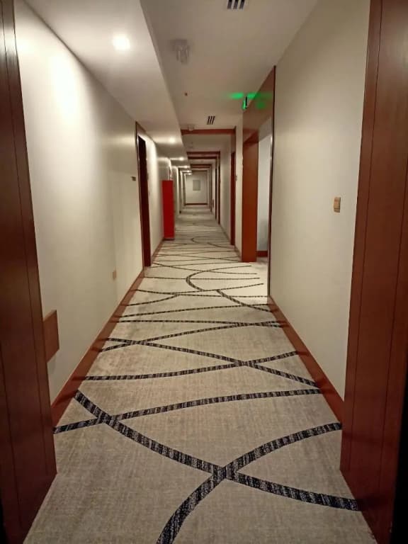 Grand Tourist Hotel - photo 11