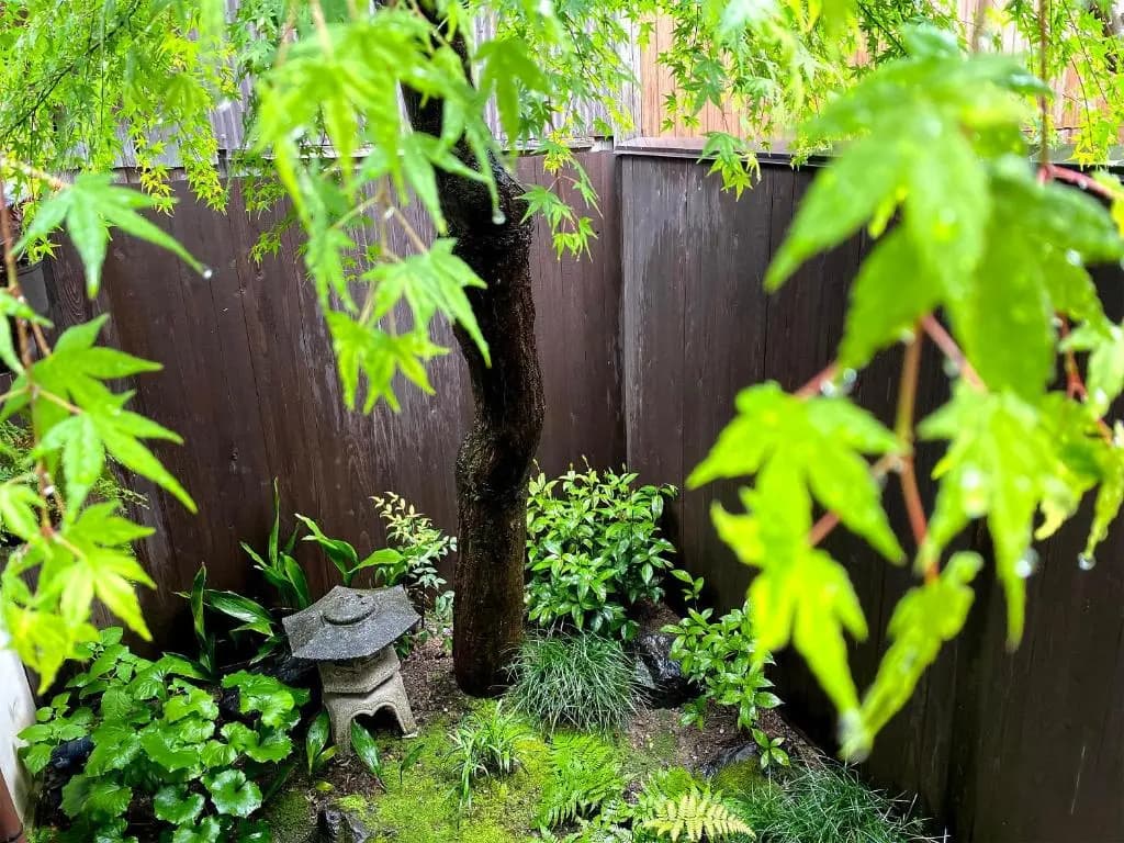Guesthouse Kioto - photo 16