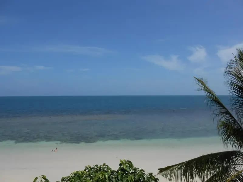 Sandy Bay Resort - photo 5