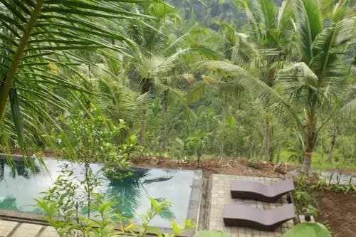 The Desa Ubud Villa - photo 50