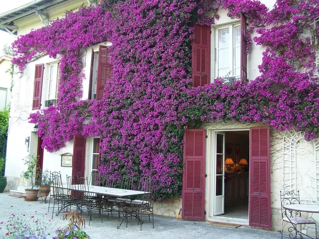 Castel Enchanté - photo 4