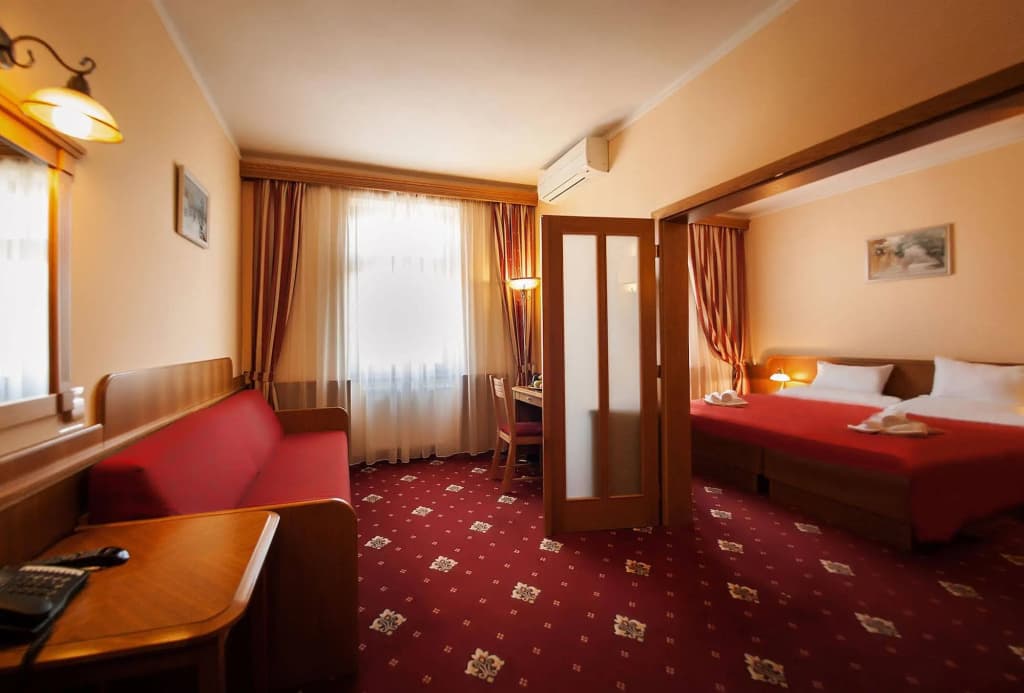 Hotel Askania - photo 6