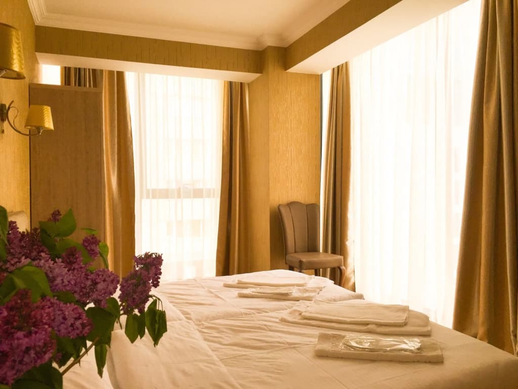 L Plaza Hotel - photo 4