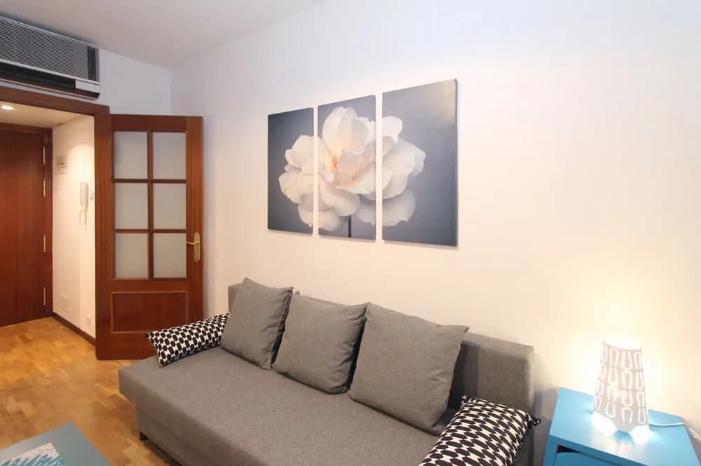 Apartamentos Castilla Luz 2 - photo 2