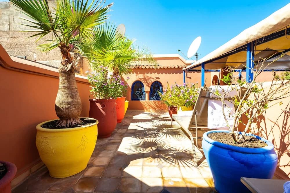 Riad kamal - photo 26