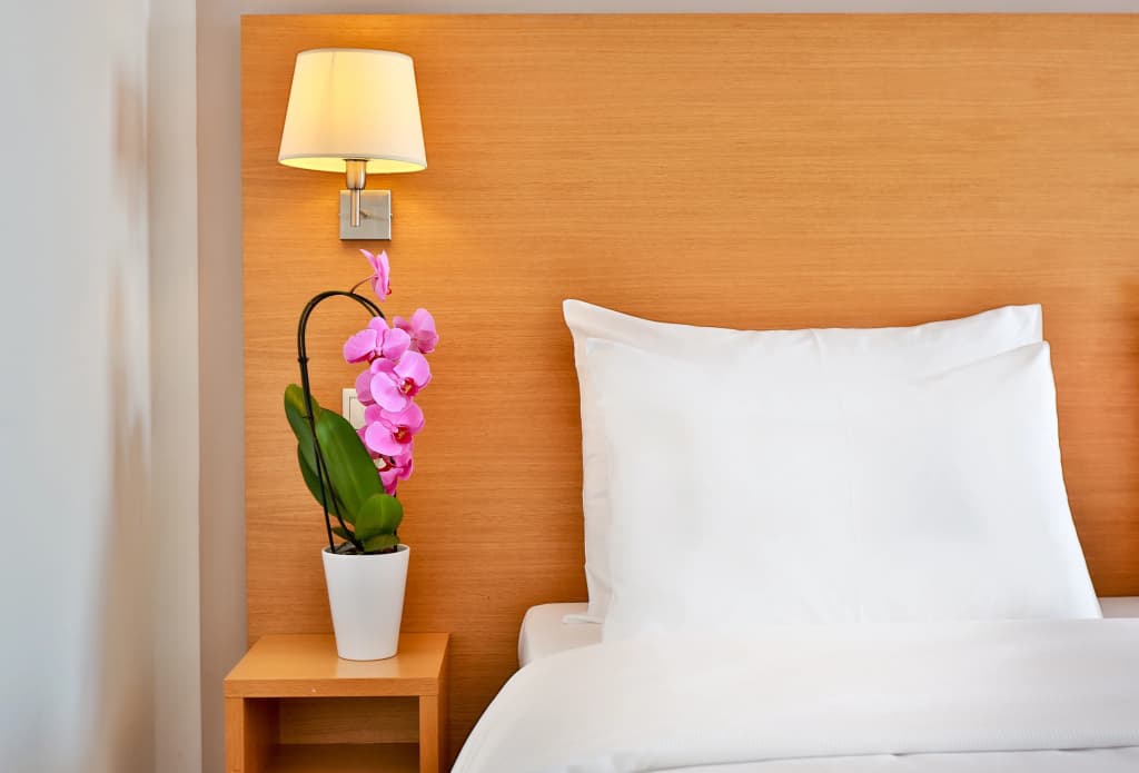 Botanique Hotel Prague - photo 5