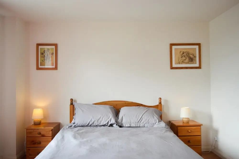 Modern 1 Bedroom Apartment With Balcony - photo 5