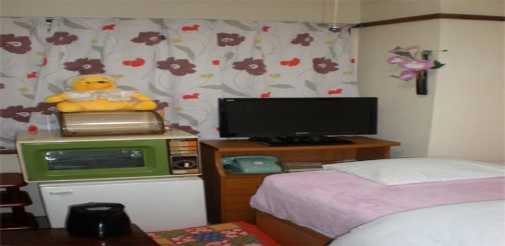 Hotel Hikari - photo 6