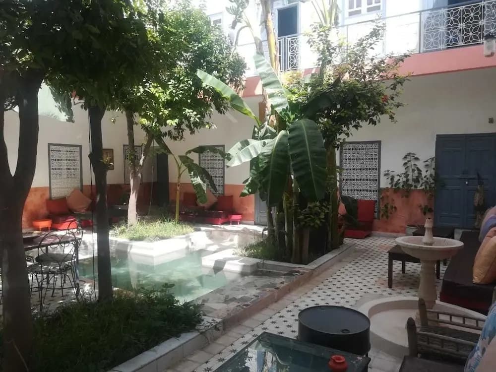 So Chic Riad - photo 13
