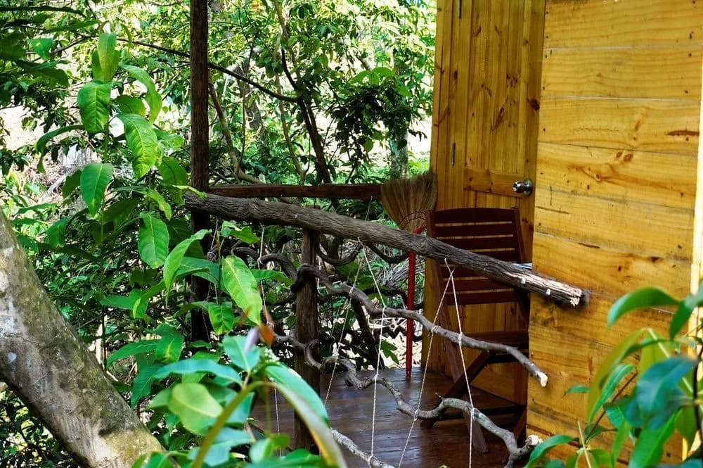 Giraffa Phu Quoc - photo 13