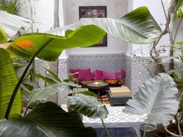Riad Maiya - photo 9