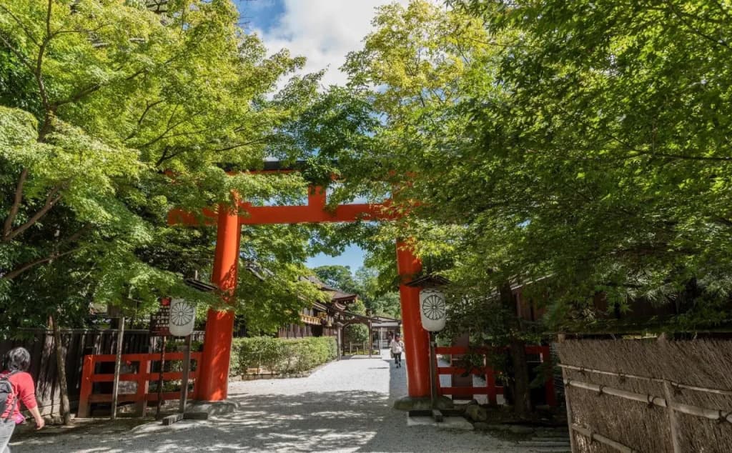 Mibu-momiji - photo 22