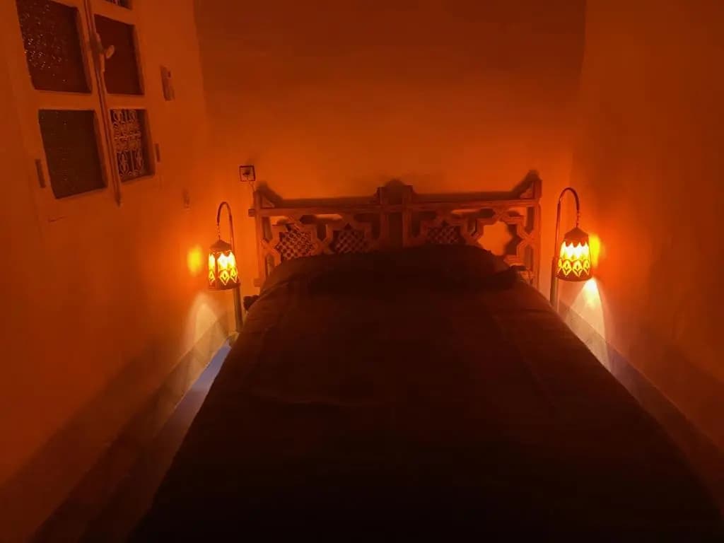 Paradis369 - photo 13