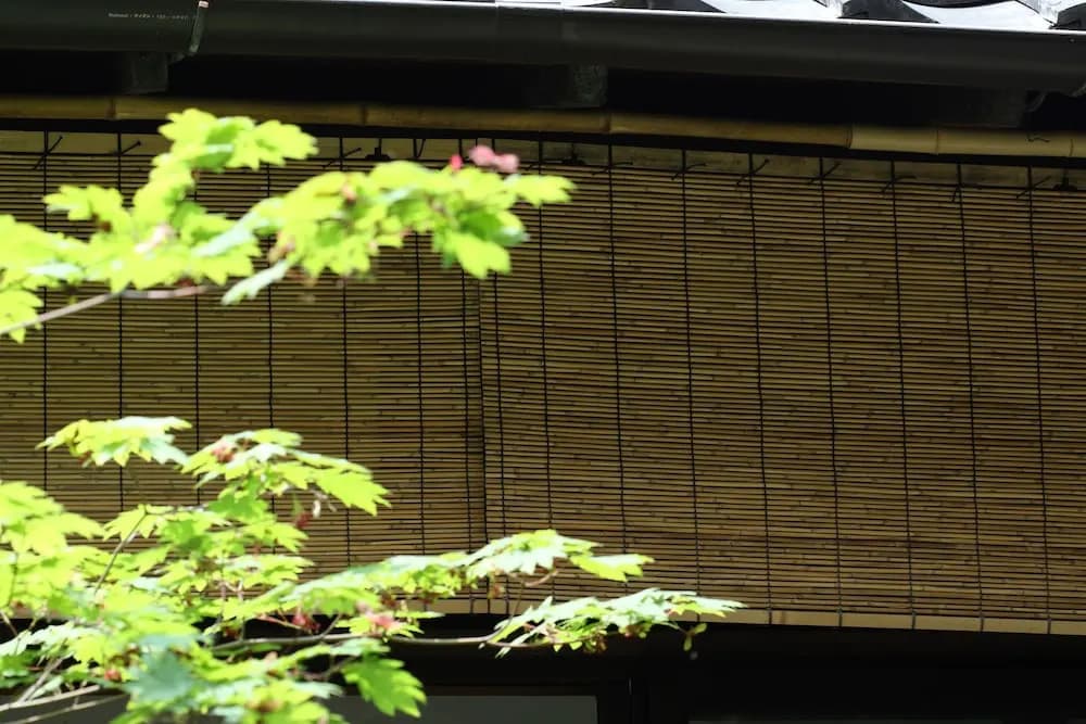 HANARé Kyoto - photo 14