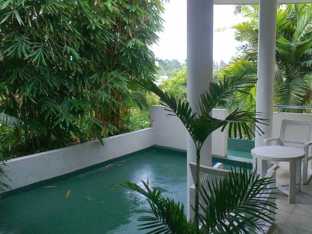 Silvikris Villa - photo 15