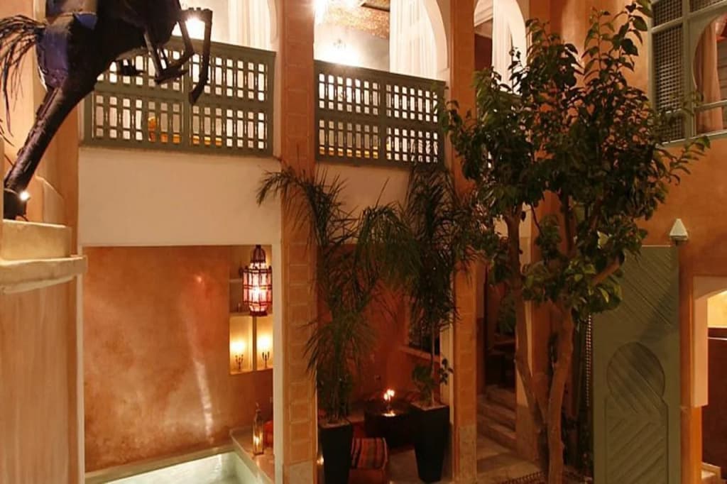 Riad Moullaoud - photo 15