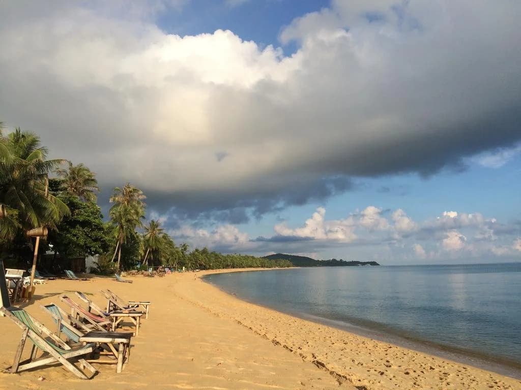 Beachway - photo 12