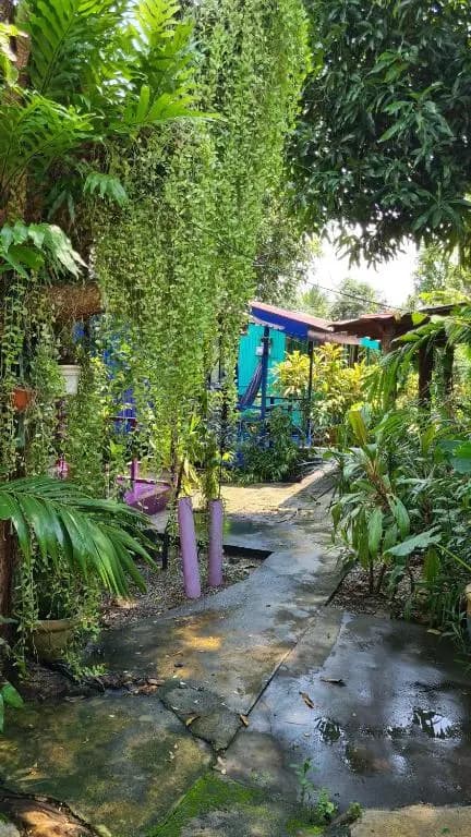 Gecko Guesthouse Langkawi - photo 4