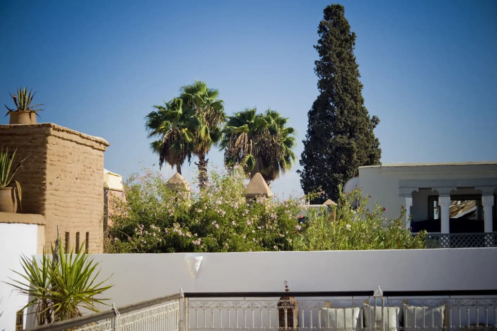 Riad Zhor - photo 18