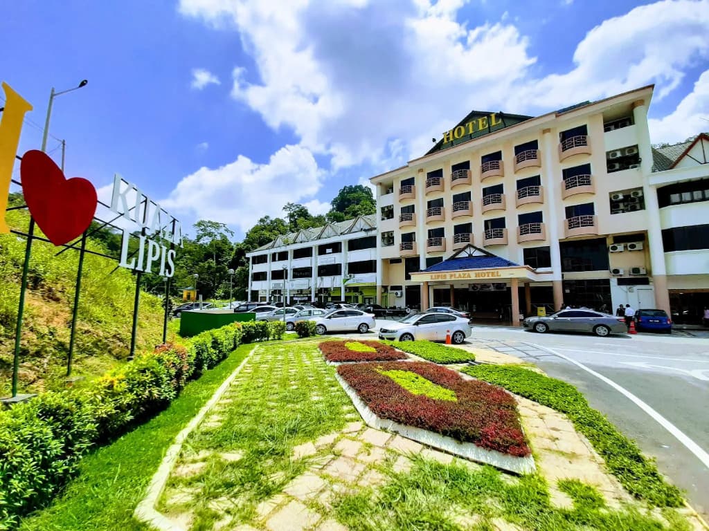 Lipis Plaza Hotel - photo 19