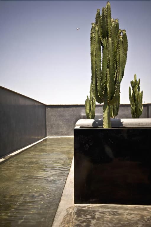 Riad First - photo 34