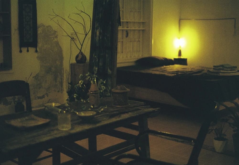 Merin - photo 7