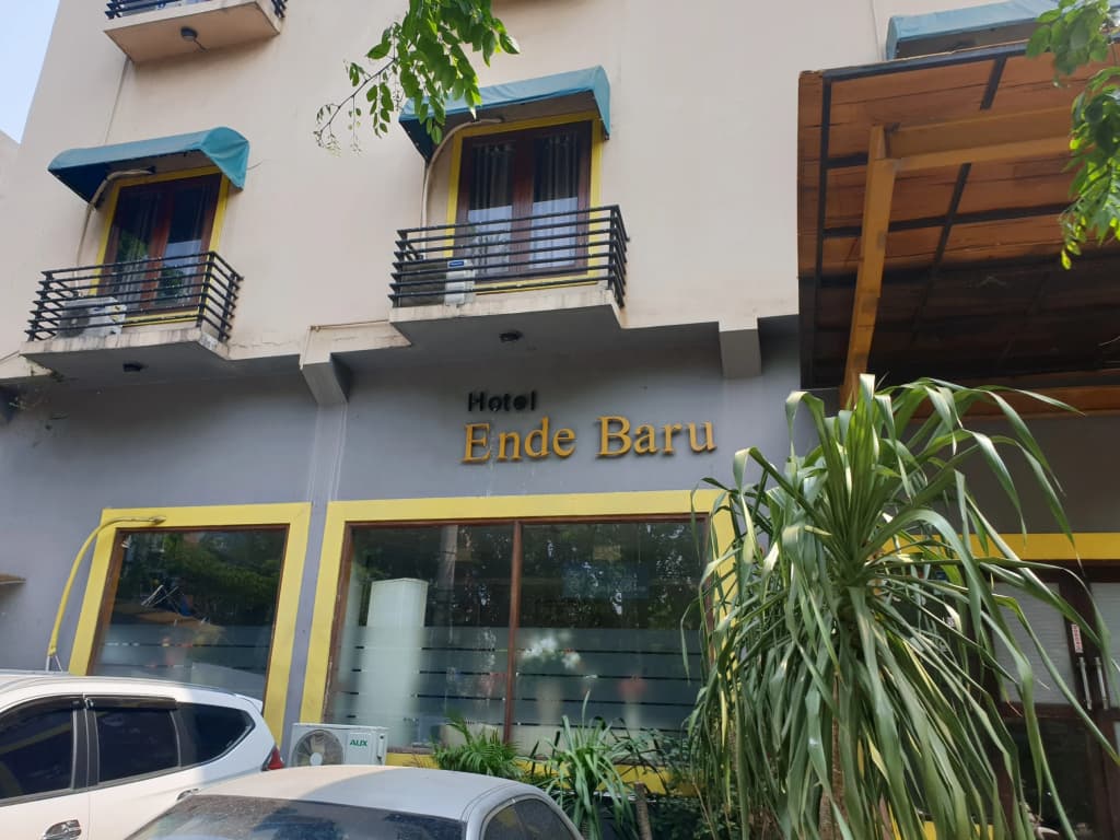 Hotel Ende Baru - main photo