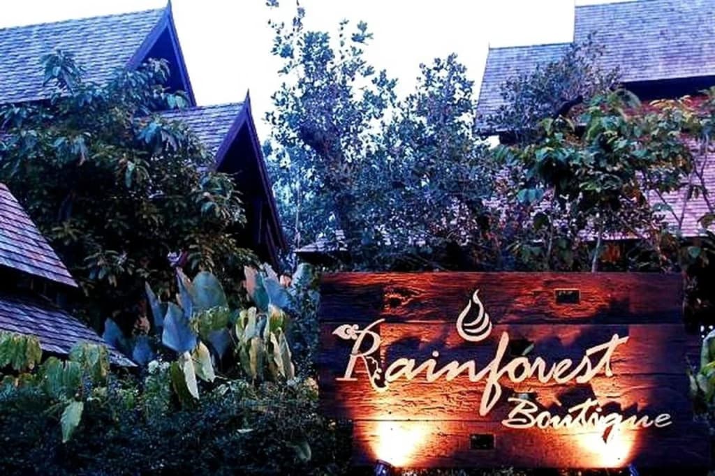 Rainforest Chiangmai Hotel - main photo