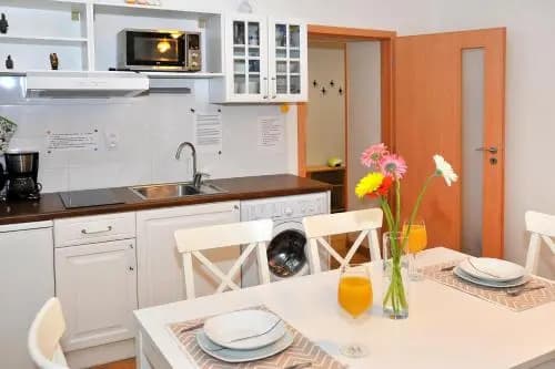 Condo in Vinohrady - photo 18