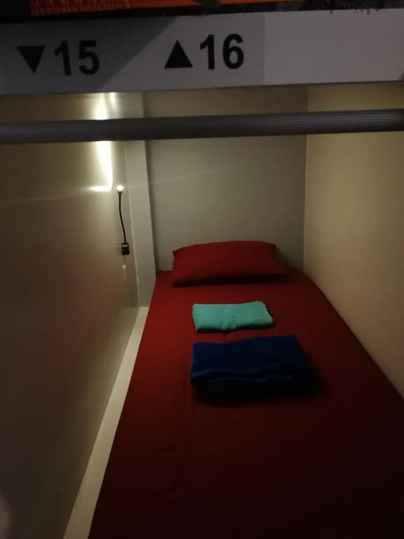Sleepy Raccoon Hostel - photo 15