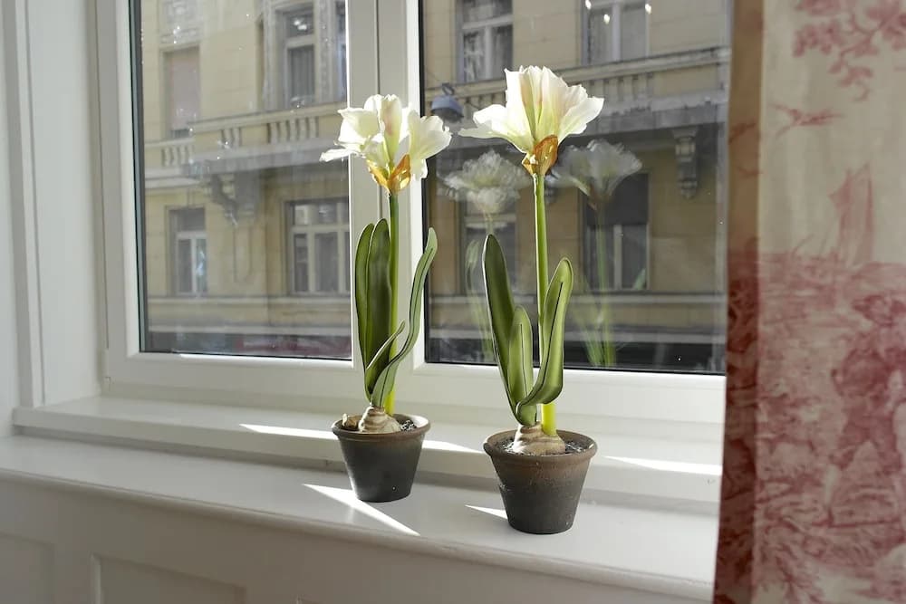 Budget Apartment by Hi5 - Veres Pálné - photo 10