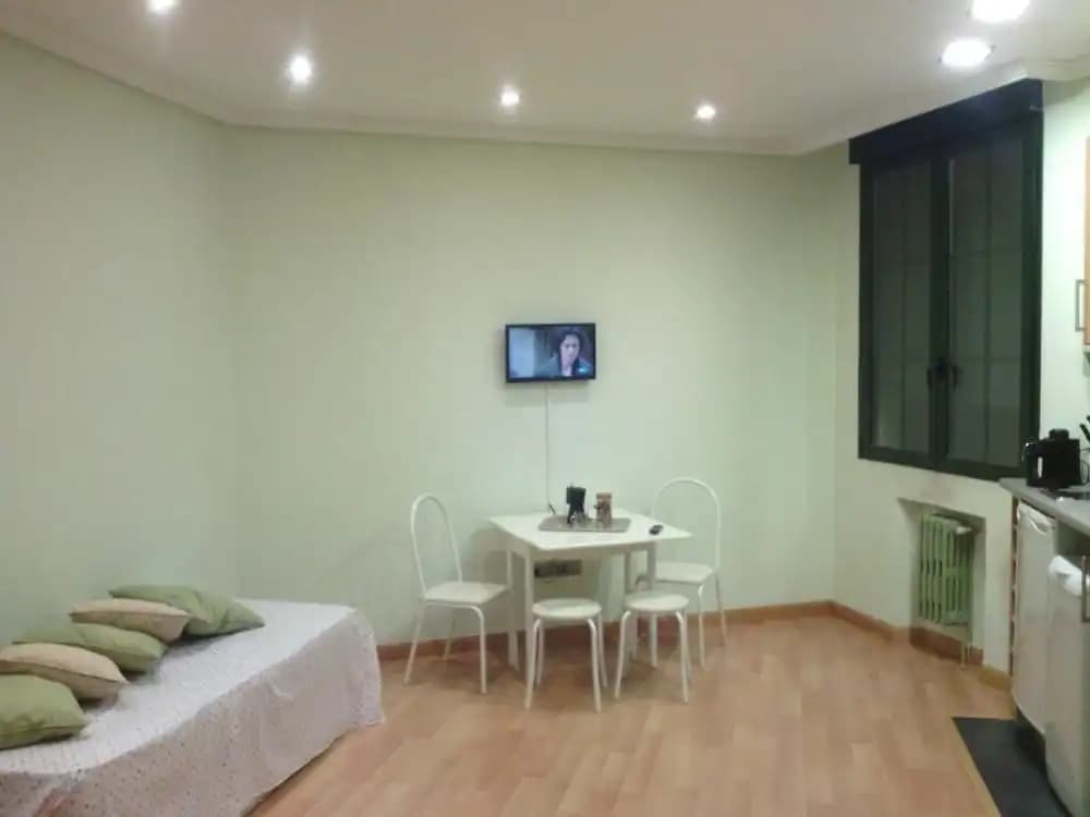 Gran Via Studio Apartments - photo 14