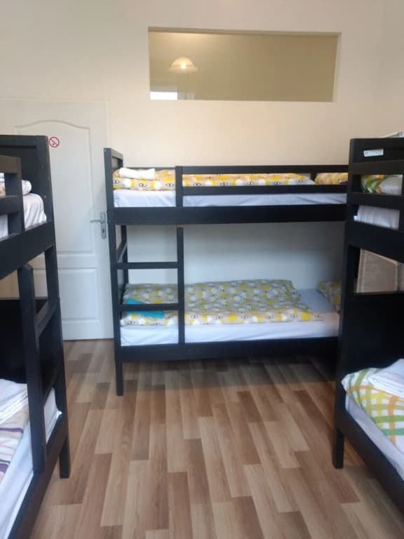 IRMAS - photo 10