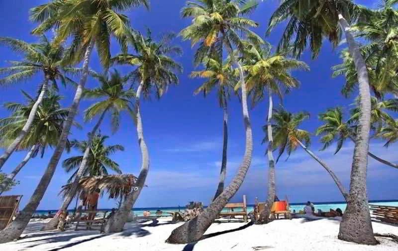 Arena Lodge Maldives - photo 31