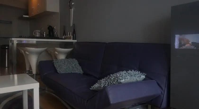 Down Town Apartment - photo 3