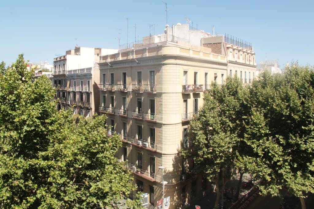 Som Nit Triomf - main photo