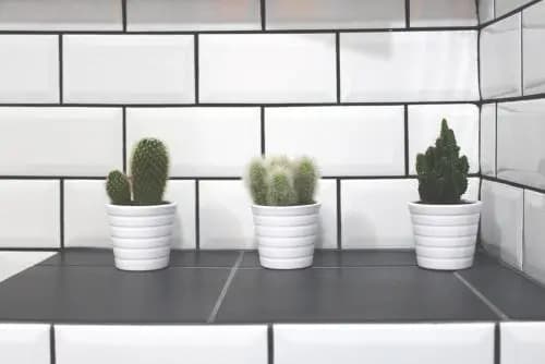 Eufonia Vinyl Friendly Apartment - photo 13