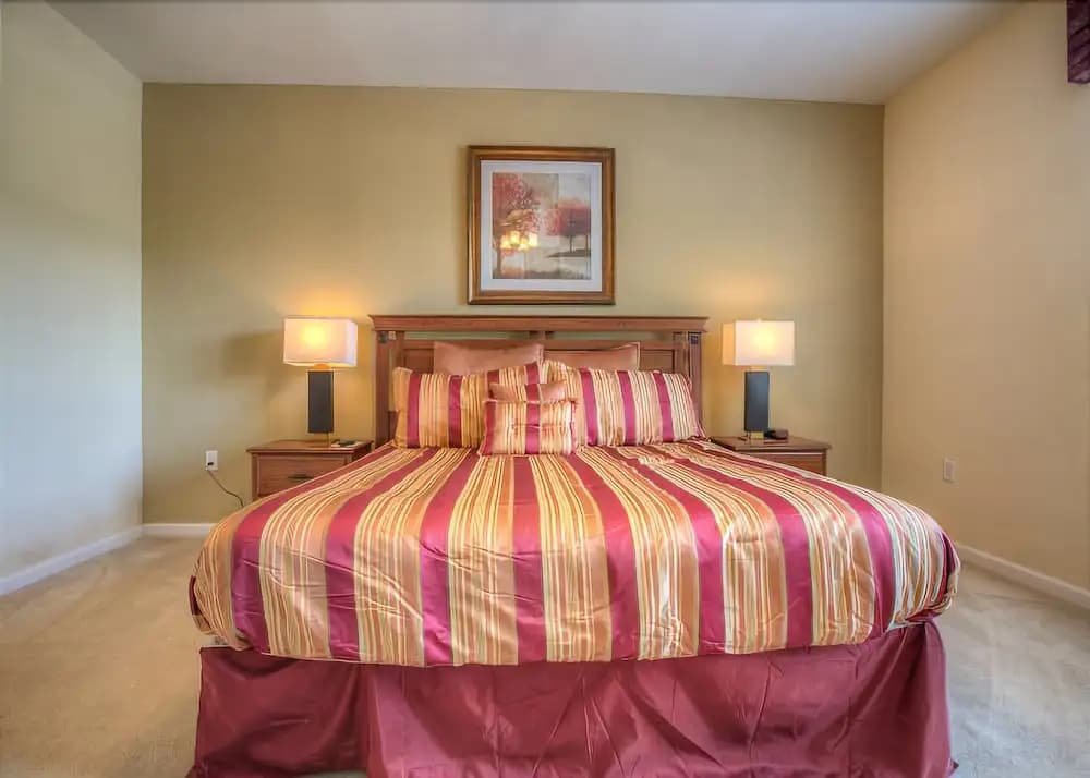 Sunny Days - photo 4