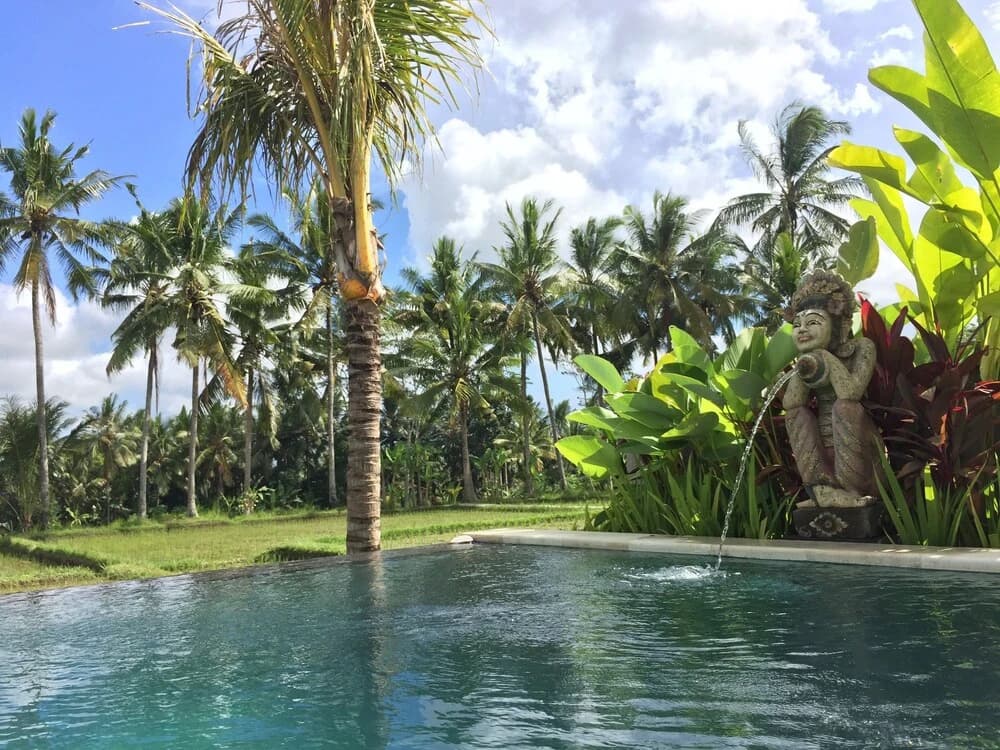 The Suris Ubud - photo 9