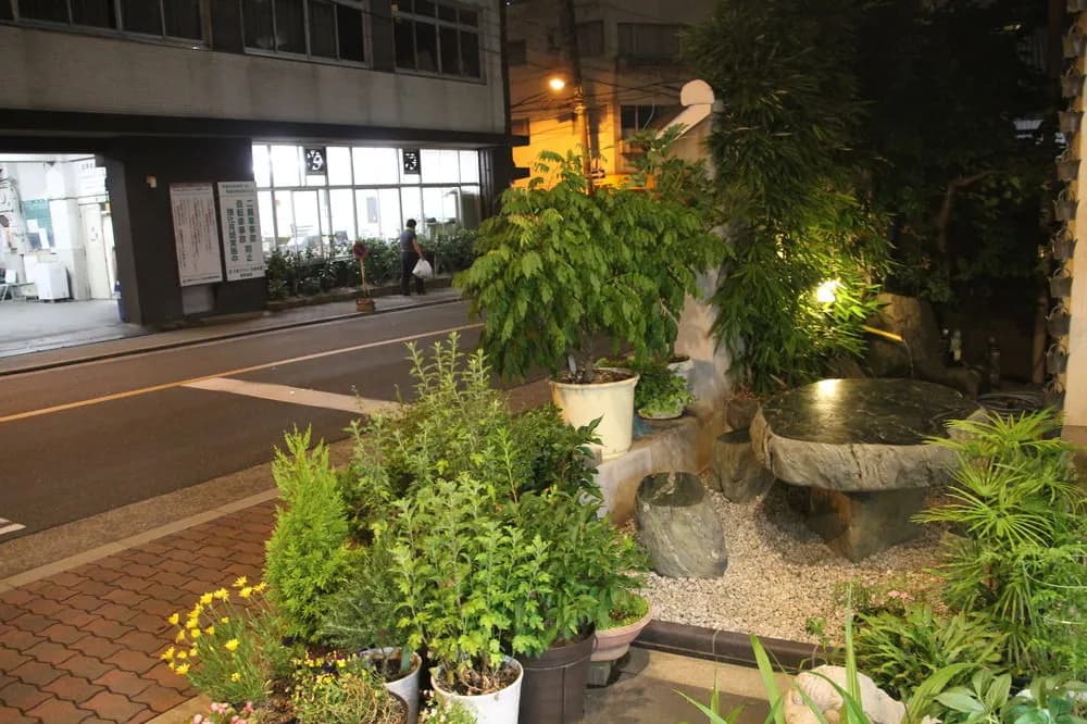 Green Fine - photo 16